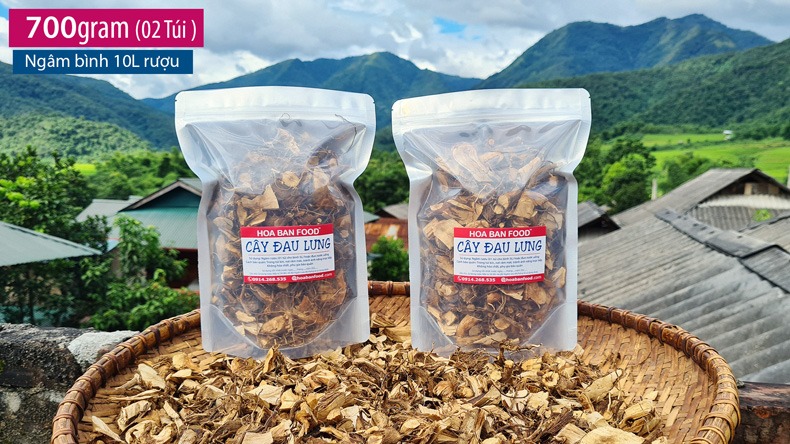 Cây Đau Lưng - 700gram